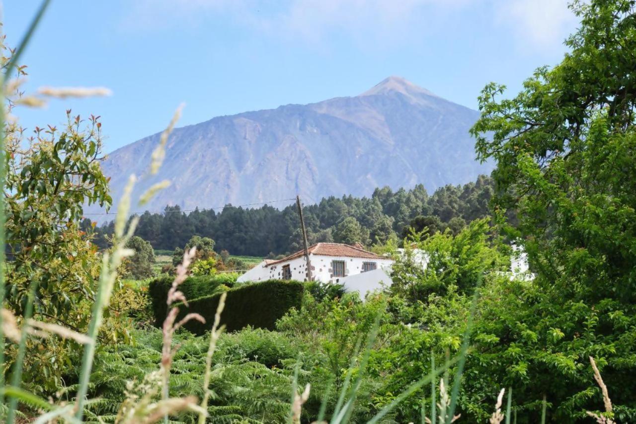 Casa Rural Felipe Luis San Juan de la Rambla Εξωτερικό φωτογραφία
